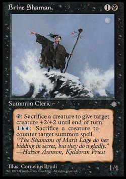 画像1: 『英語版』Brine Shaman
