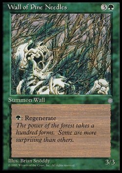 画像1: 『英語版』Wall of Pine Needles