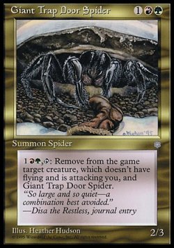 画像1: 『英語版』巨大トタテグモ/Giant Trap Door Spider