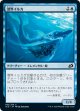 【日本語版】潜界イルカ/Phase Dolphin