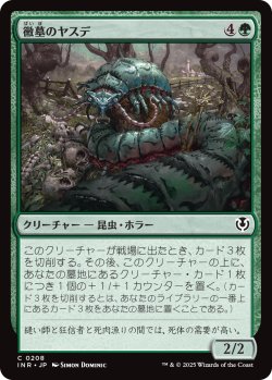 画像1: 【日本語版】黴墓のヤスデ/Moldgraf Millipede