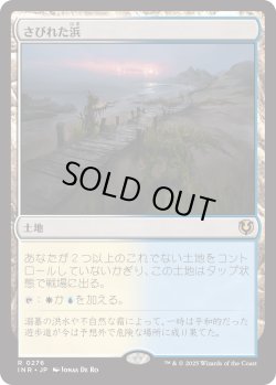 画像1: 【日本語版】さびれた浜/Deserted Beach