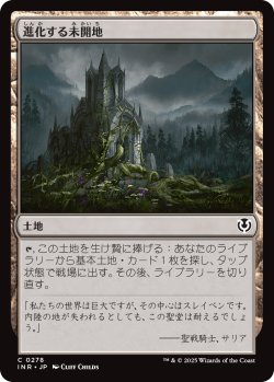 画像1: 【日本語版】進化する未開地/Evolving Wilds