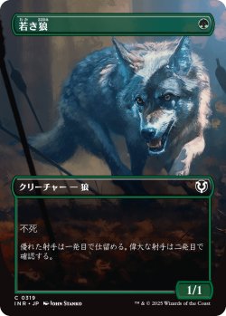 画像1: 【Foil】【ボーダーレス】【日本語版】若き狼/Young Wolf