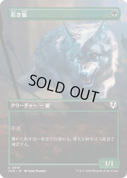 画像1: 【Foil】【ボーダーレス】【日本語版】若き狼/Young Wolf