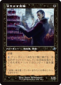 画像1: 【旧枠】【日本語版】甘やかす貴種/Indulgent Aristocrat