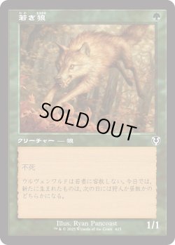 画像1: 【Foil】【旧枠】【日本語版】若き狼/Young Wolf