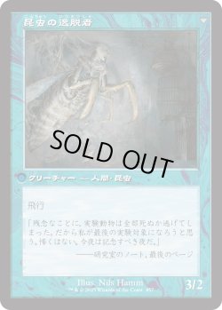 画像2: 【Foil】【旧枠】【日本語版】秘密を掘り下げる者/昆虫の逸脱者/Delver of Secrets/Insectile Aberration