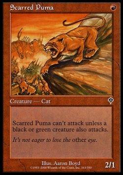 画像1: 【日本語版】傷痕のピューマ/Scarred Puma