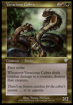 画像1: 【日本語版】大食のコブラ/Voracious Cobra