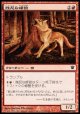 【日本語版】残忍な峰狼/Feral Ridgewolf