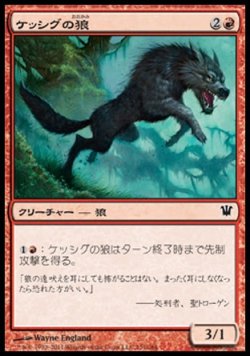 画像1: 【日本語版】ケッシグの狼/Kessig Wolf