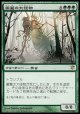 【日本語版】黴墓の大怪物/Moldgraf Monstrosity