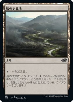 画像1: 【日本語版】灰のやせ地/Ash Barrens