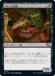 【日本語版】のたくる幼虫/Wriggling Grub
