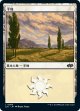 【日本語版】平地/Plains