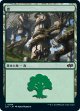 【日本語版】森/Forest