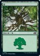 【日本語版】森/Forest