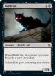 『英語版』黒猫/Black Cat