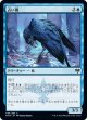 【日本語版】占い鴉/Augury Raven