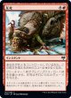 【日本語版】圧死/Squash