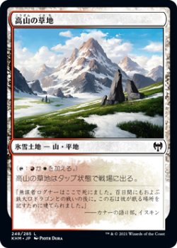 画像1: 【日本語版】高山の草地/Alpine Meadow