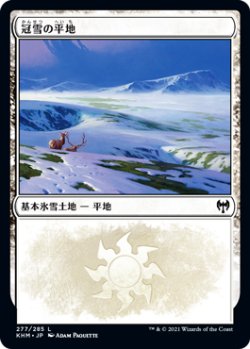 画像1: 【日本語版】冠雪の平地/Snow-Covered Plains