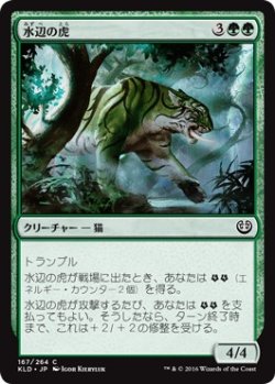 画像1: 【日本語版】水辺の虎/Riparian Tiger