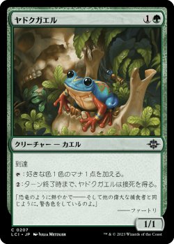 画像1: 【日本語版】ヤドクガエル/Poison Dart Frog
