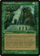 『イタリア語版』森の知恵/Sylvan Library
