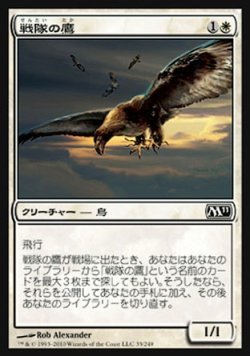 画像1: 【日本語版】戦隊の鷹/Squadron Hawk