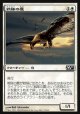 【日本語版】戦隊の鷹/Squadron Hawk