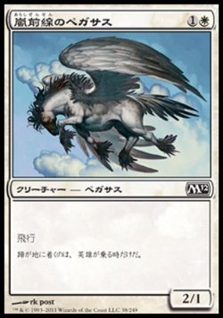 画像1: 【日本語版】嵐前線のペガサス/Stormfront Pegasus