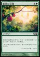 【日本語版】豊潤な収穫/Bountiful Harvest