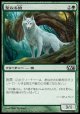 【日本語版】聖なる狼/Sacred Wolf