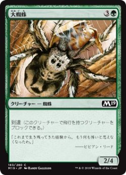 画像1: 【日本語版】大蜘蛛/Giant Spider