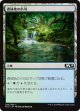 【日本語版】森林地の小川/Woodland Stream