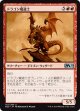 【日本語版】ドラゴン魔道士/Dragon Mage