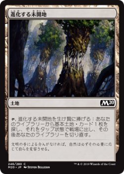 画像1: 【日本語版】進化する未開地/Evolving Wilds