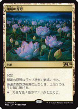 画像1: 【日本語版】睡蓮の原野/Lotus Field