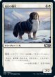 【日本語版】高山の番犬/Alpine Watchdog