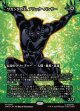 【日本語版】【ボーダーレス】ワカンダの王、ブラック・パンサー/Black Panther, Wakandan King