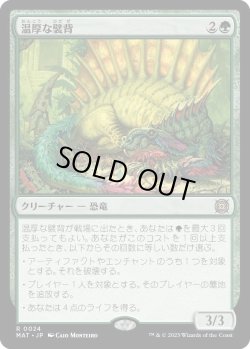 画像1: 【Foil】【日本語版】温厚な襞背/Tranquil Frillback