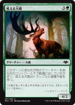 画像1: 【日本語版】吼える大鹿/Bellowing Elk