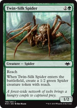 画像1: 『英語版』双子絹蜘蛛/Twin-Silk Spider