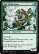『英語版』花の壁/Wall of Blossoms