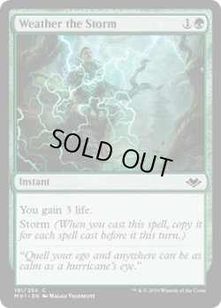 画像1: 『英語版』嵐の乗り切り/Weather the Storm