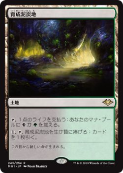画像1: 【日本語版】育成泥炭地/Nurturing Peatland