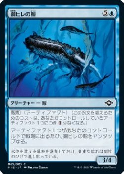 画像1: 【日本語版】鋼ヒレの鯨/Steelfin Whale