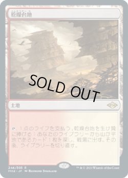 画像1: 【日本語版】乾燥台地/Arid Mesa